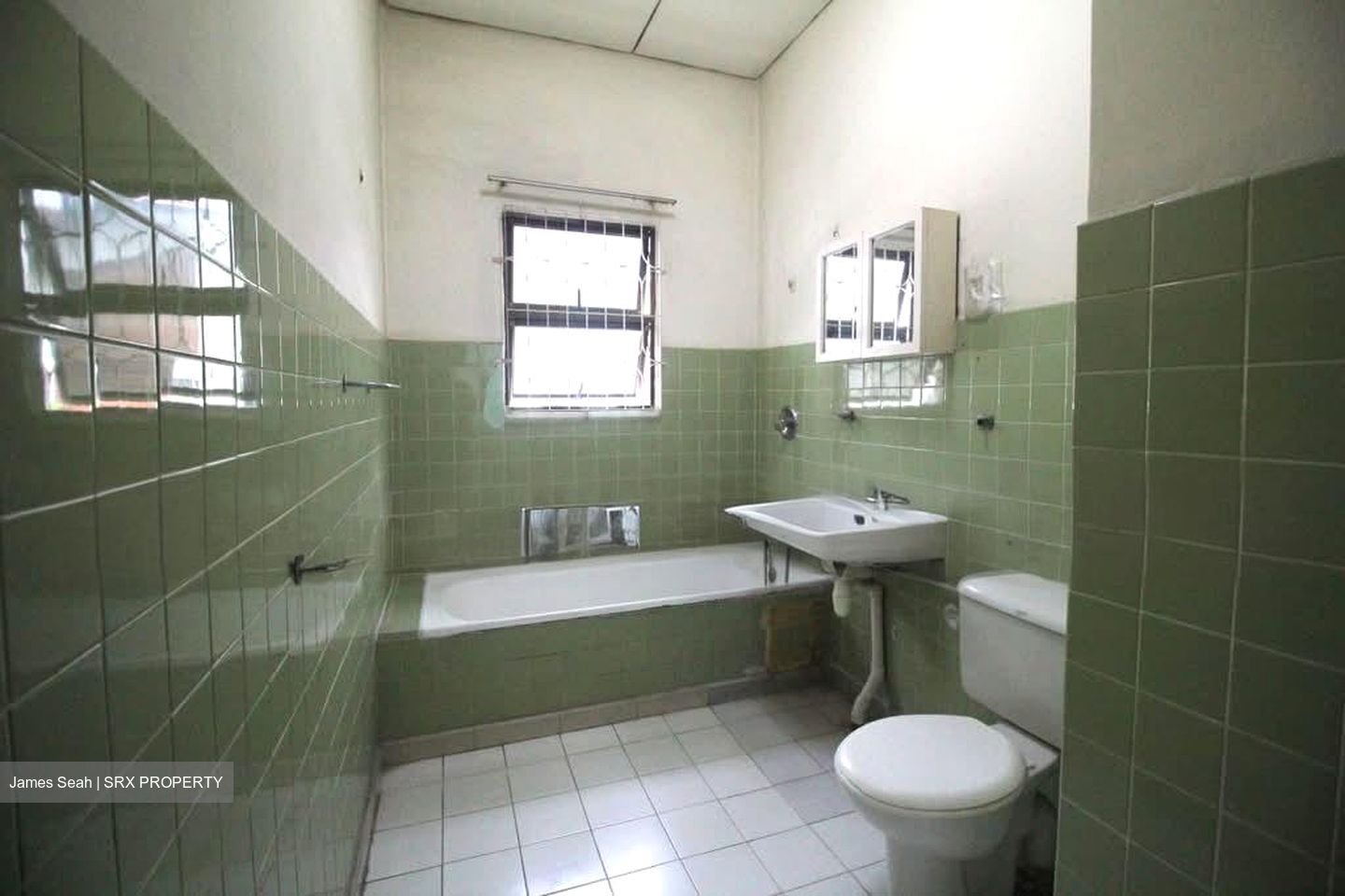 Clementi Park (D21), Detached #580287161